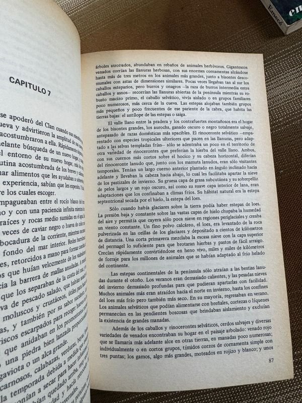 Lote de novelas variadas en excelente condición - imagen 15