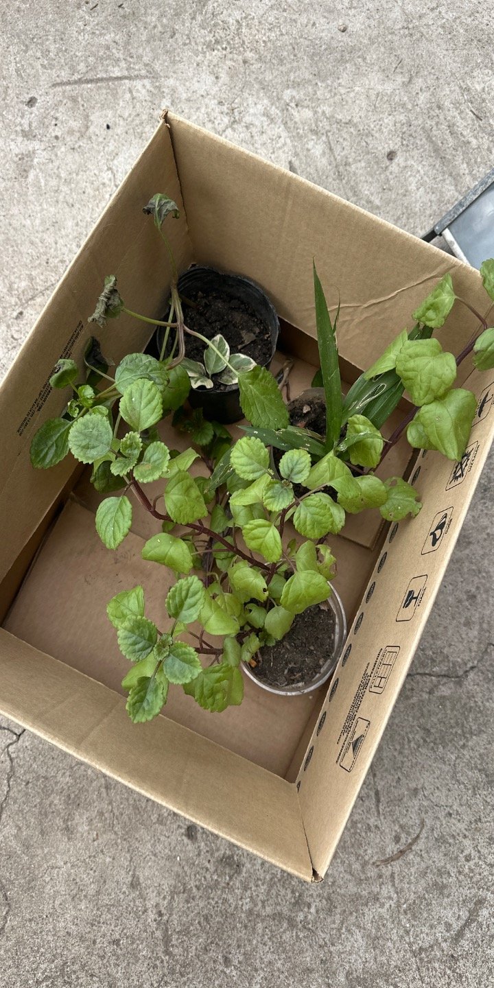 Item 63687 - Image 0