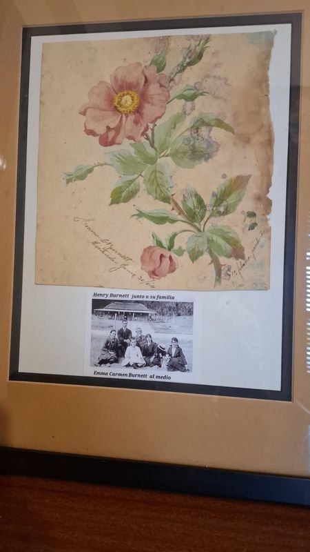 Item 856348 - Image 4