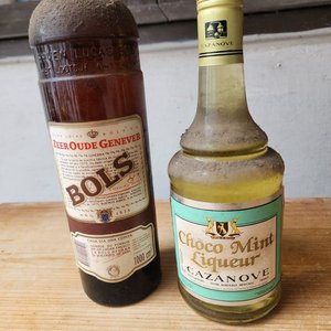 Lote de Ginebra Bols y Licor Choco Mint Cazeneuve - imagen 1