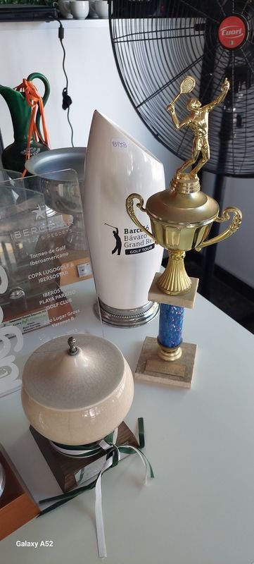 Item 878216 - Image 3