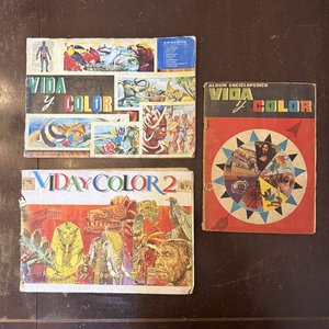 Lote anterior: Álbumes "Vida y Color" Colección Enciclopédica Ilustrada
