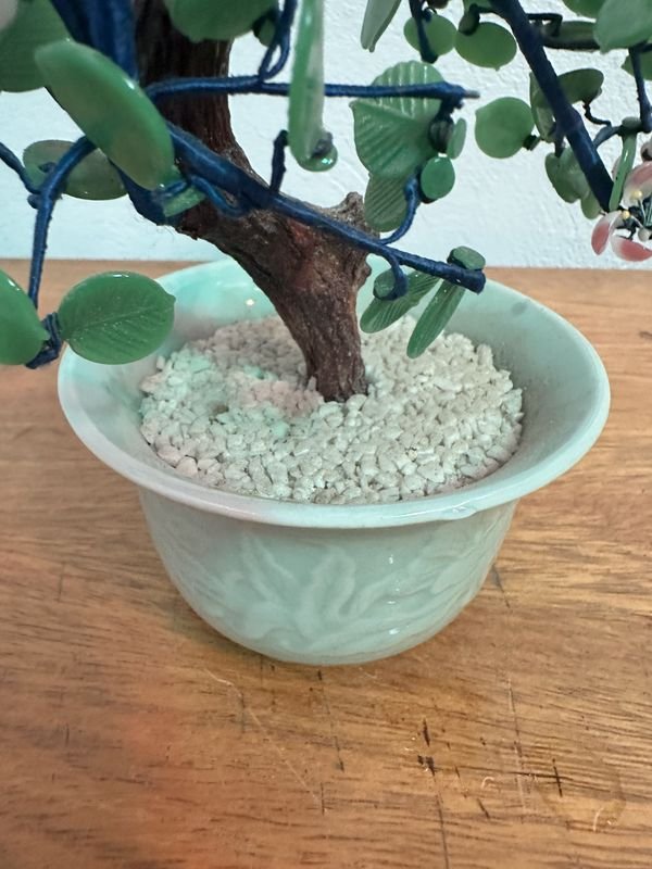 Árbol Bonsái en un Bol - imagen 4