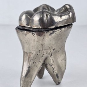 Manual de Anestesia Local en Odontología y Molde Dental - imagen 2