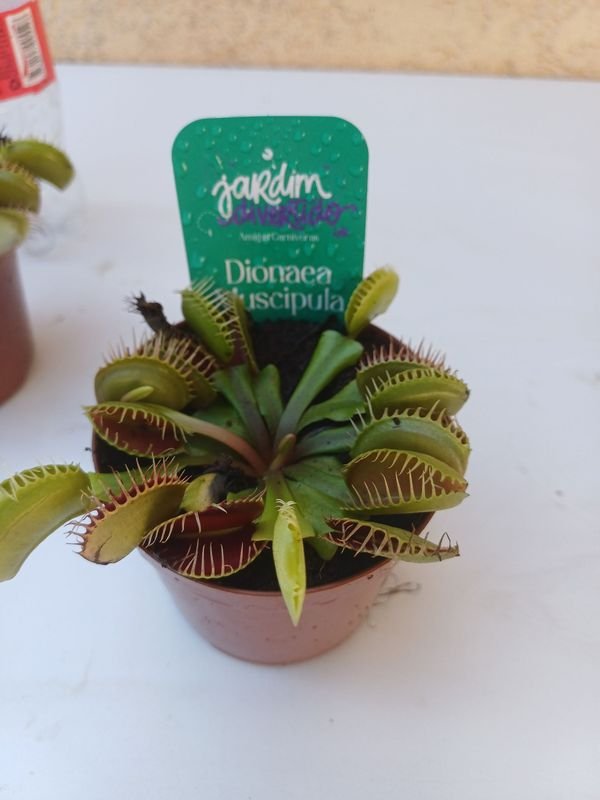 Item 875541 - Image 3