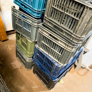Lote de 20 Cajones Plásticos Usados de Varios Colores - imagen 4