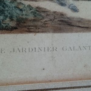 grabado antiguo de estilo rococó francés titulado "Le Jardinier Galant" (El jardinero galante), creado originalmente en 1778 por el grabador Isidore-Stanislas Helman 30*34 - imagen 2