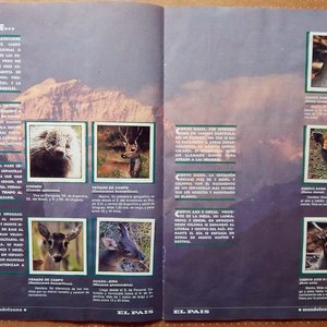 Álbum de Figuritas Completo "Mundofauna" El País 1997 - imagen 3