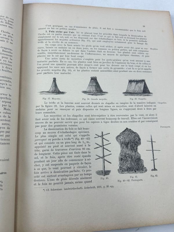 Manual técnico ilustrado de botánica aplicada - imagen 6