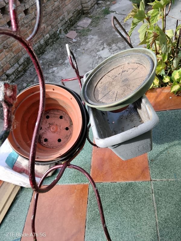 Item 889947 - Image 1