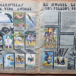 Álbum de Figuritas "Humanidad y Civilización" - Saint Hnos. 1946 - imagen 3
