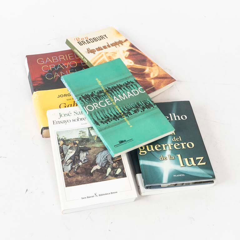 Lote de 6 Libros de Autores Clásicos y Contemporáneos