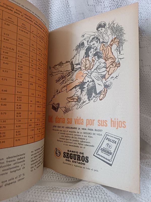 Almanaque Banco de Seguros del Estado 1975-1976 - Edición de Colección - imagen 3
