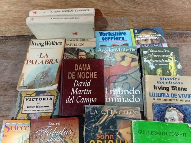 Colección de libros y novelas en español - imagen 7