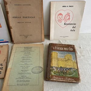 Lote de Libros de Poesía: El Poema del Cid, Alfonsina Storni y más - imagen 3