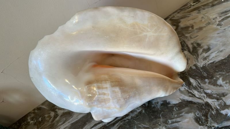 Item 894036 - Image 0