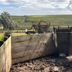 Lote de Campo con Galpones y Casa Principal - imagen 19