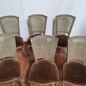 Juego de 6 Sillas Luis XV Estilo Francés con Respaldo Esterillado y Asiento de Pana Visón - imagen 4