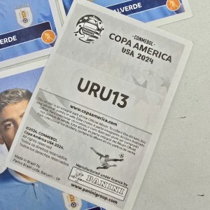 Lote de 4 Tarjetas Panini Copa América USA 2024 de Federico Valverde - imagen 2