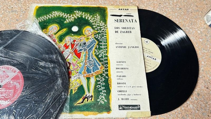 Vinilos de vinilo para coleccionistas - imagen 3