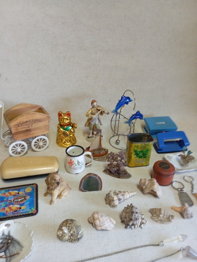 Colección de caracoles y objetos variados - imagen 7
