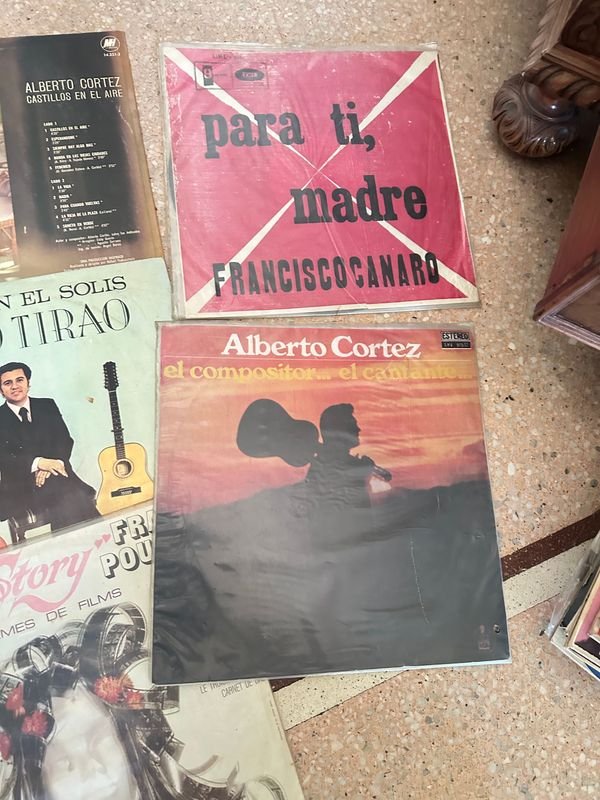 Vinilos X 12: Colección de Discos a la Venta - imagen 5