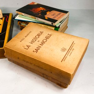 Lote de Libros Variados: Historia, Filosofía y Más - imagen 3