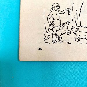 Álbum de Figuritas "Animales del Pasado" - Colección "Un Libro de Oro de Estampas" - imagen 9