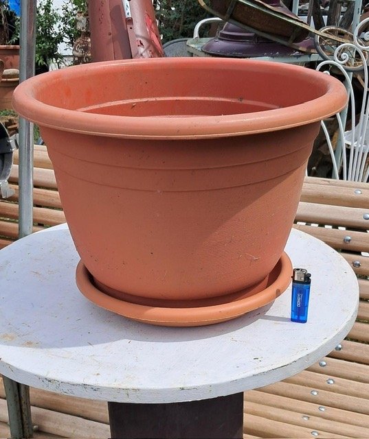 Lote anterior: Maceta plastico con plato, nueva