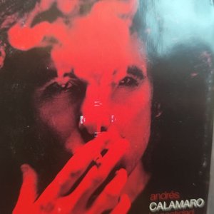 Doble CD "Honestidad Brutal" de Andrés Calamaro - Edición Original 1999 - imagen 4