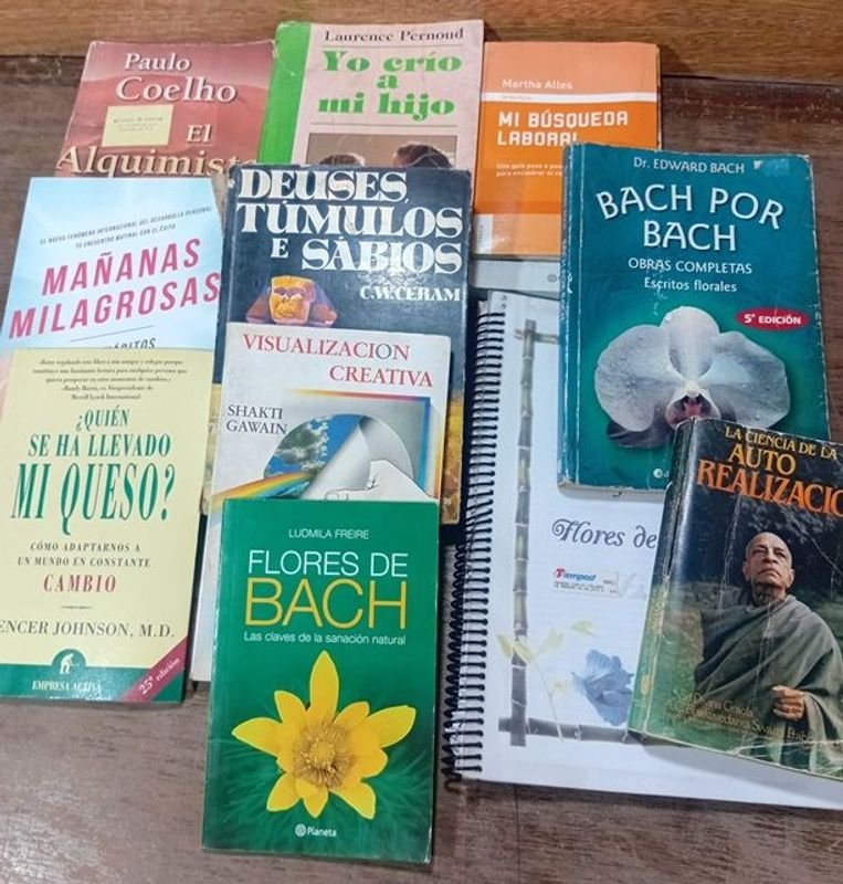 Lote siguiente: Colección de Libros de Autoayuda y Superación