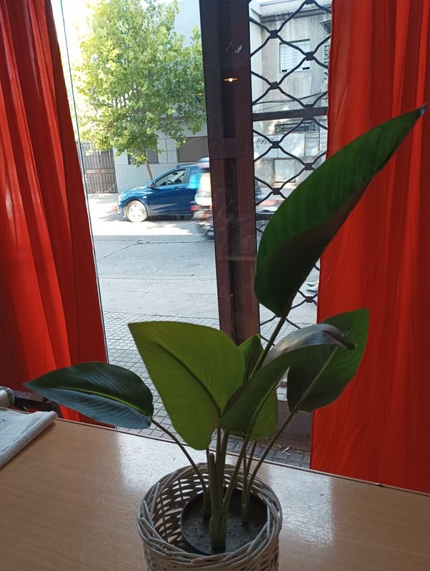 Florero de mimbre pequeño de mesa para decorar tu hogar - imagen 3