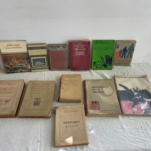 Lote de Libros de Psicología y Estudios - imagen 1
