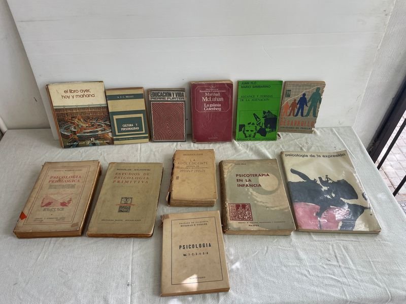 Lote de Libros de Psicología y Estudios