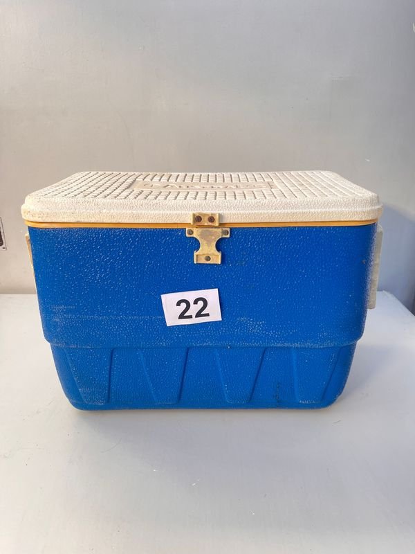 Conservadora Azul 20L con Llave de Bronce y Capacidad de 20L - imagen 1