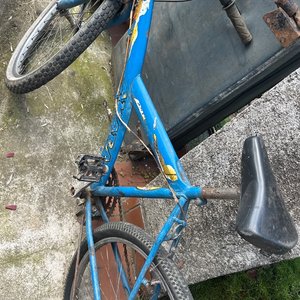 Lote anterior: Bicicleta Azul para Niños o Adultos Jóvenes