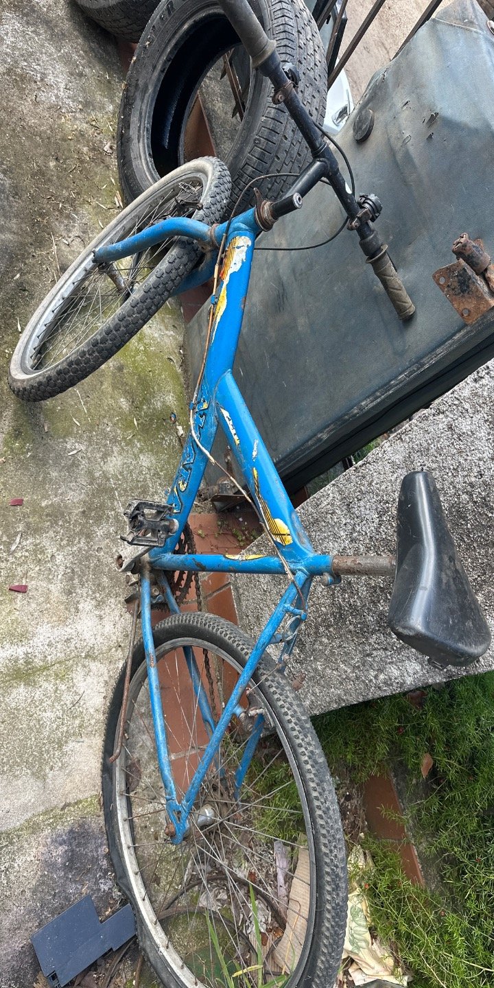 Bicicleta Azul para Niños o Adultos Jóvenes