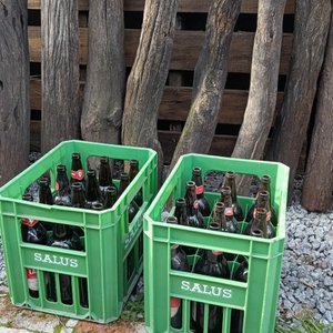 Dos Cajas Plásticas Verdes con Botellas Vacías Salus - imagen 3