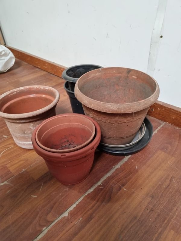 Item 865916 - Image 1