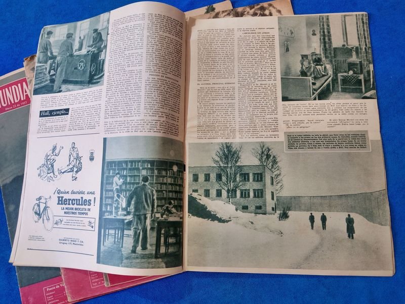 Item 882046 - Image 4