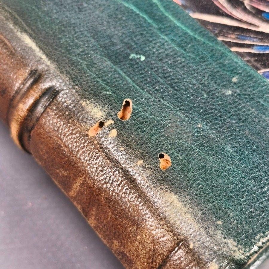 Item 18628 - Image 15