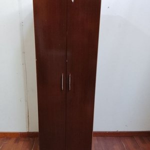Lote anterior: Placard de Dos Puertas en Tono Oscuro con Estantes Internos