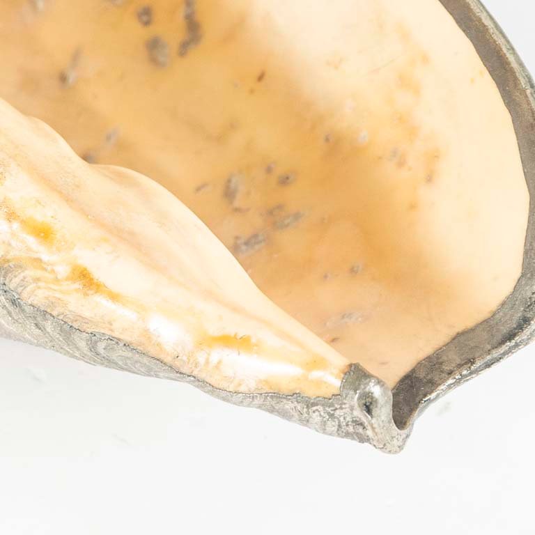 Item 2098238 - Image 1