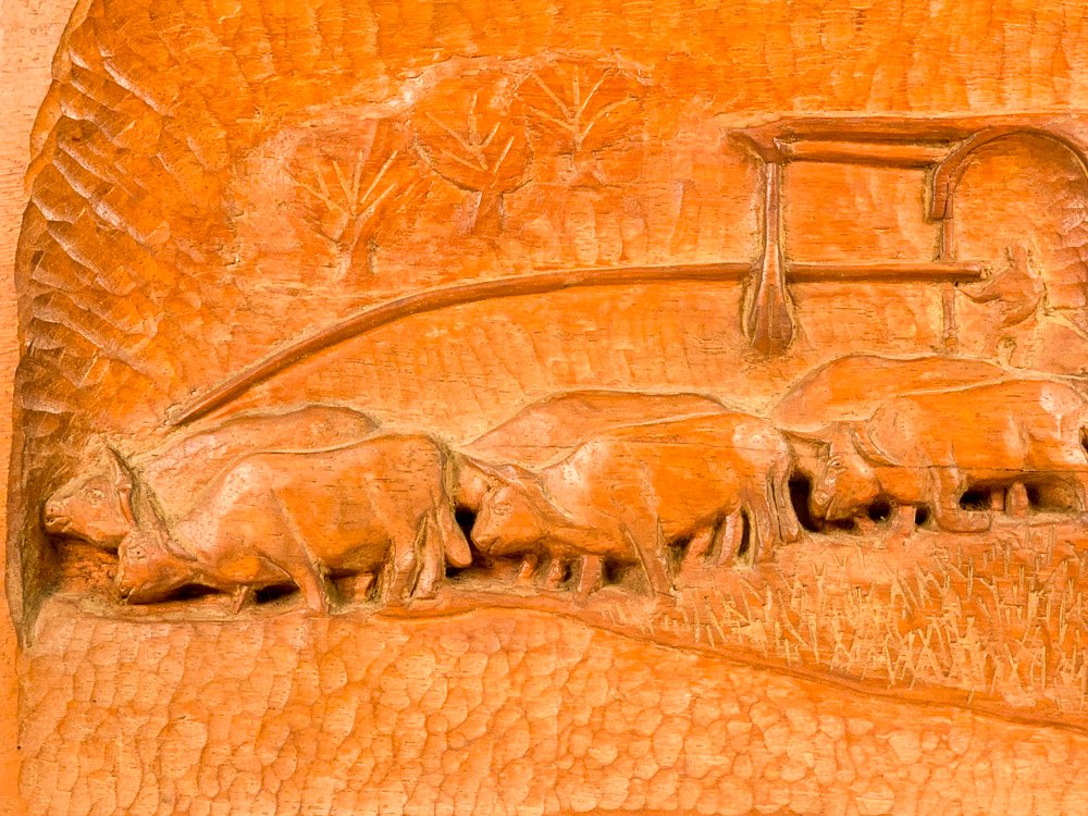 Item 494872 - Image 2