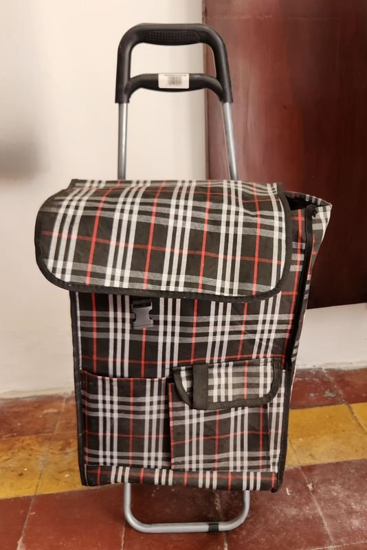 Carrito de Compras Plegable con Ruedas