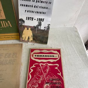 Lote de Novelas Antiguas y Modernas de Colección - imagen 3