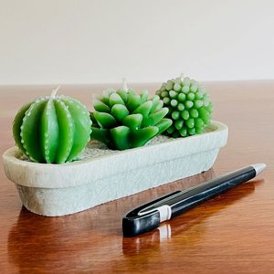 Lote de Velas Decorativas: Cactus, Flores, Piñas y Más - imagen 2