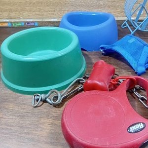Lote Variado de Accesorios para Mascotas: Comederos, Correas y Rueda - imagen 4