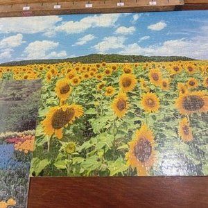 Par de Puzzles Completos Plastificados: Campo de Girasoles y Jardín con Cisnes - imagen 3