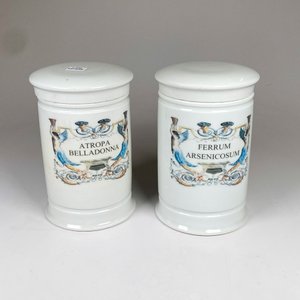 Par de frascos de farmacia en porcelana, superficie blanca, decorados en variado colorido con inscripciones. Alto 20 cm. - imagen 2